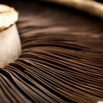 Propiedades nutrimentales de los Champiñones Portobello