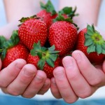 Frutas las 10 mejores para ti (y mas practicas)