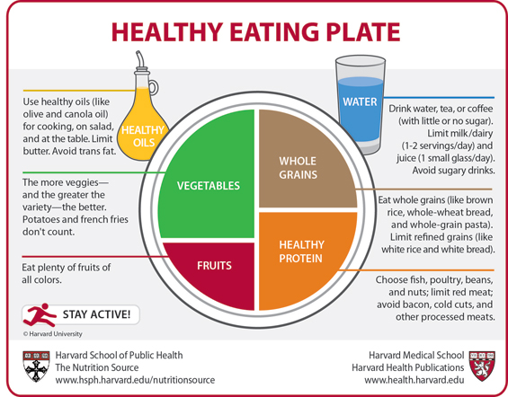 plato saludable de la universidad de harvard